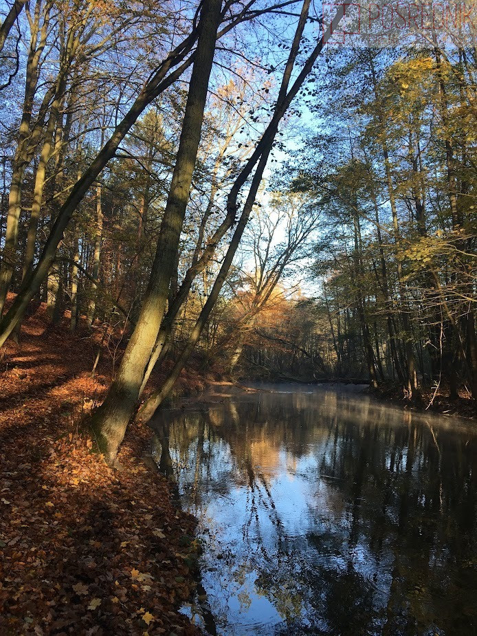 Dom Sprzedaż Szczecin Jezierzyce