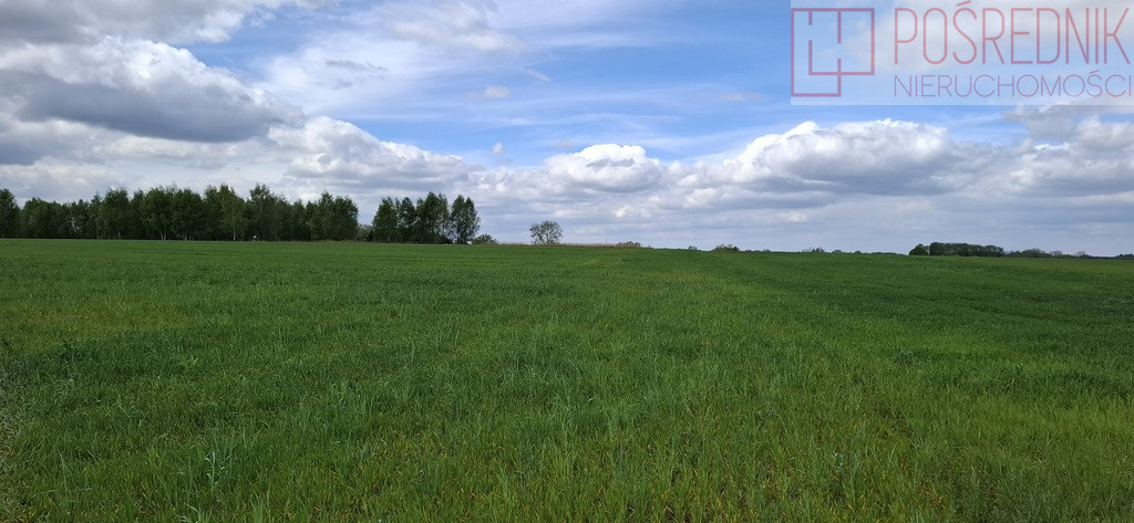 Działka Sprzedaż Bagna