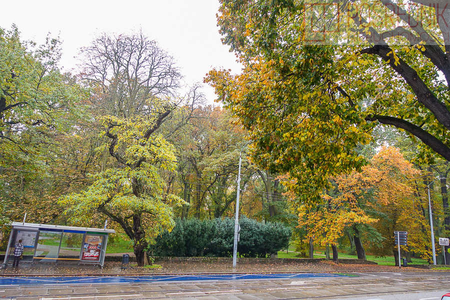 Mieszkanie Sprzedaż Szczecin Śródmieście Jacka Malczewskiego
