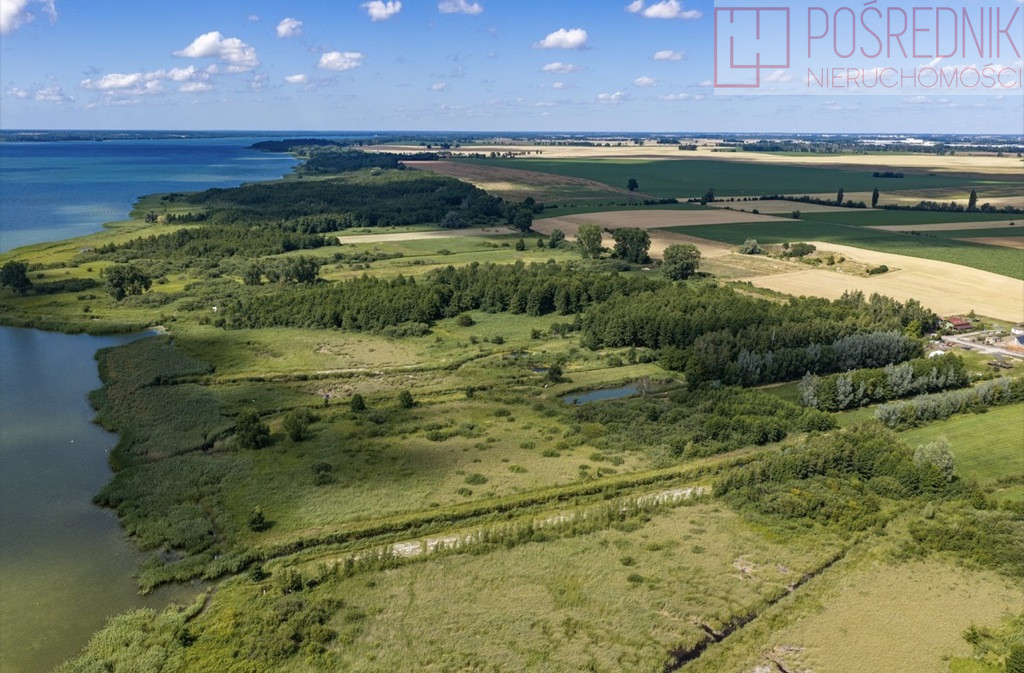 Działka Sprzedaż Wierzbno