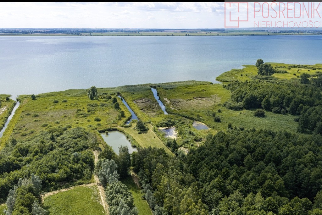 Działka Sprzedaż Wierzbno