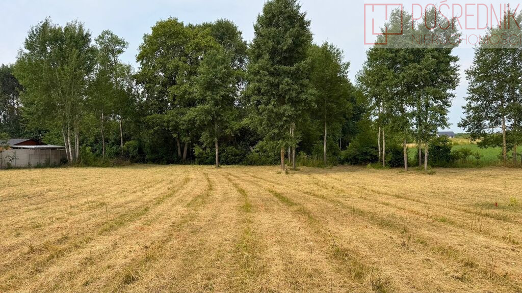 Działka Sprzedaż Marszewo