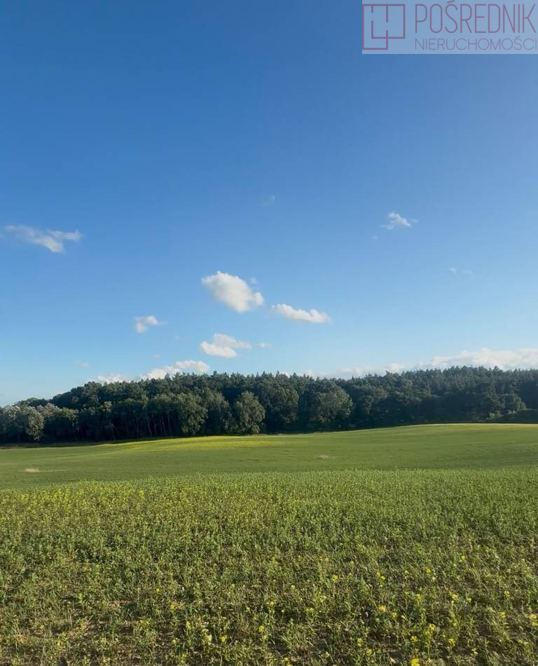 Działka Sprzedaż Buk