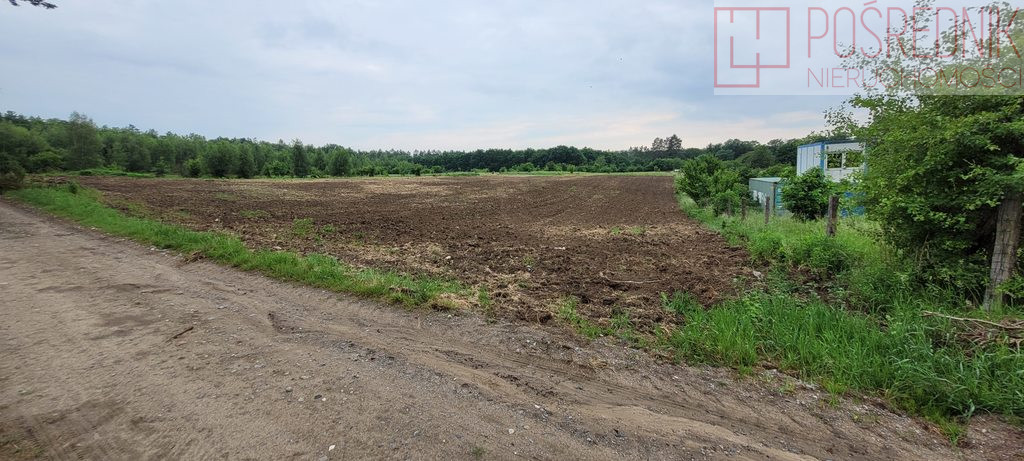 Działka Sprzedaż Binowo