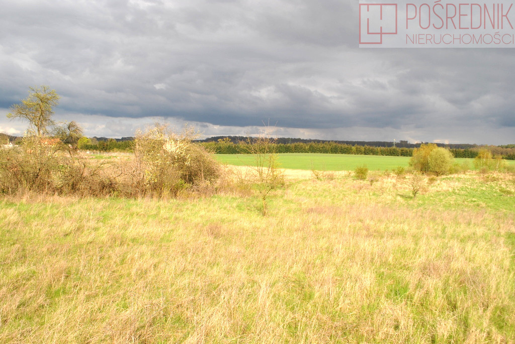 Działka Sprzedaż Binowo
