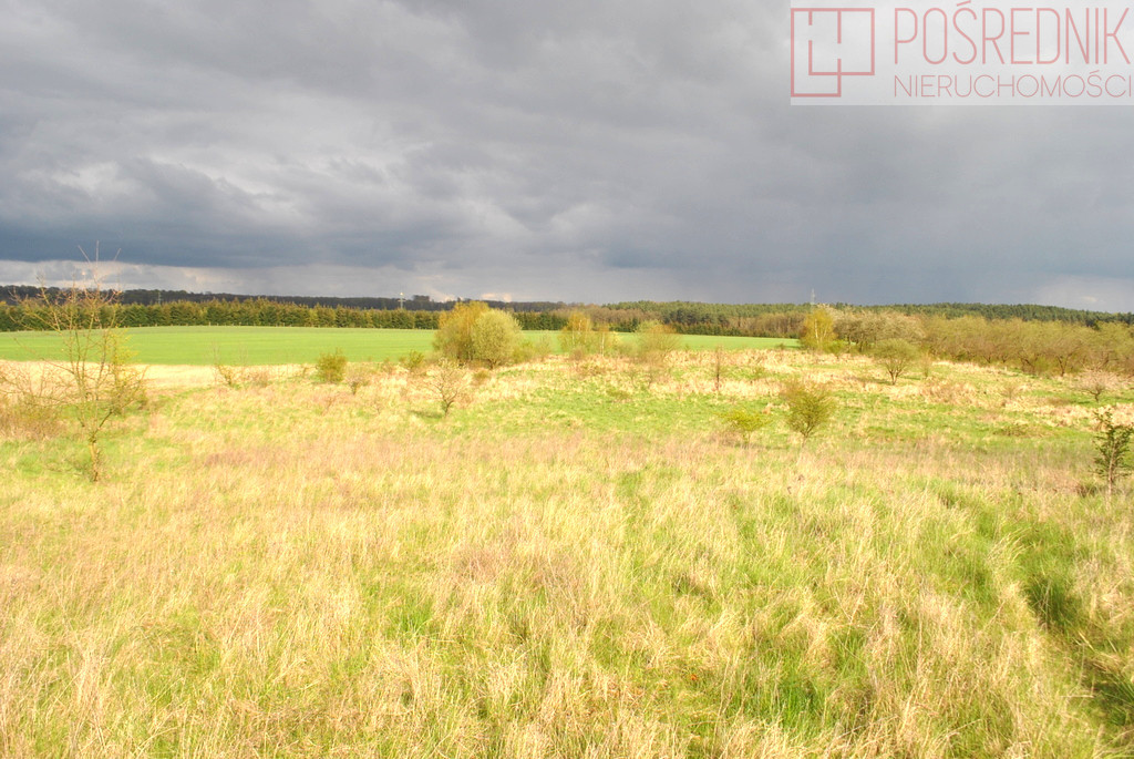 Działka Sprzedaż Binowo