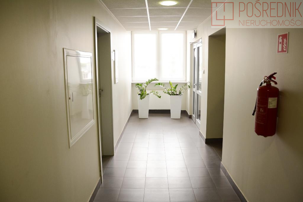 Lokal Wynajem Szczecin Śródmieście