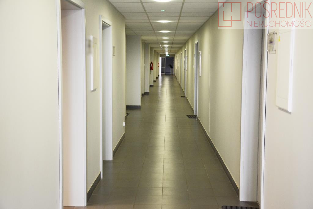 Lokal Wynajem Szczecin Śródmieście