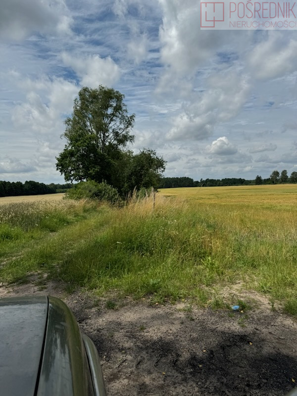 Działka Sprzedaż Dobropole