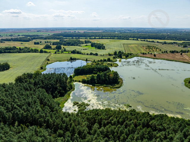 Działka Sprzedaż Binowo