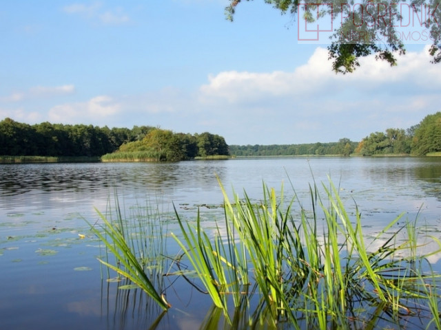 Działka Sprzedaż Warnice