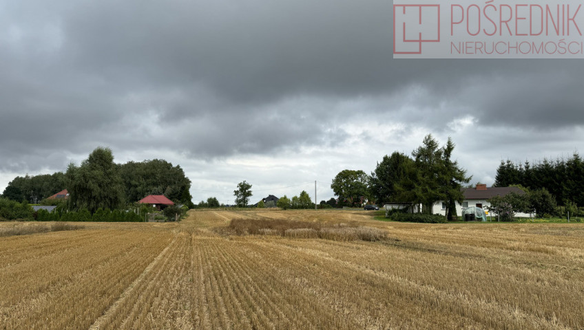 Działka Sprzedaż Kolonia Maszewo