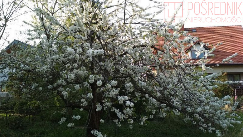 Działka Sprzedaż Szczecin Pogodno