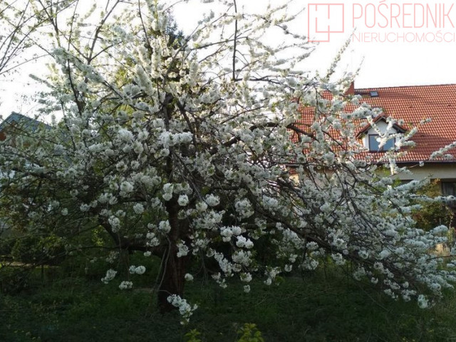 Działka Sprzedaż Szczecin Pogodno