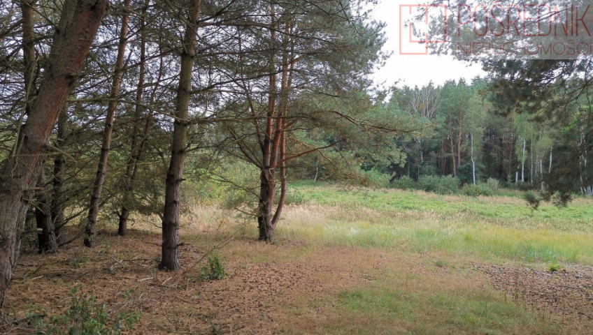 Działka Sprzedaż Szczecin Jezierzyce