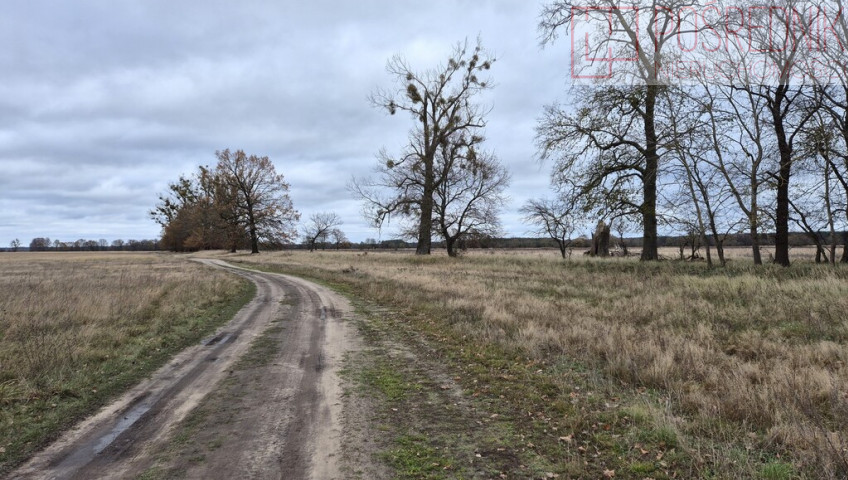 Działka Sprzedaż Łęgi