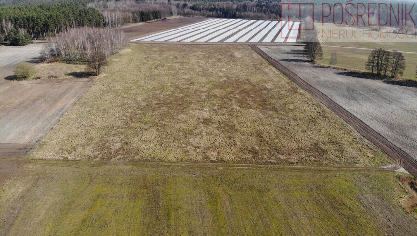 Działka Sprzedaż Lubczyna