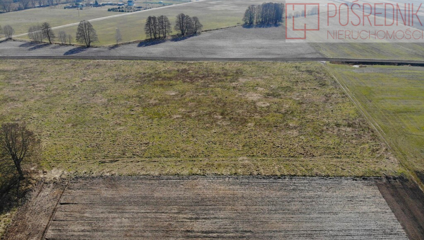 Działka Sprzedaż Lubczyna