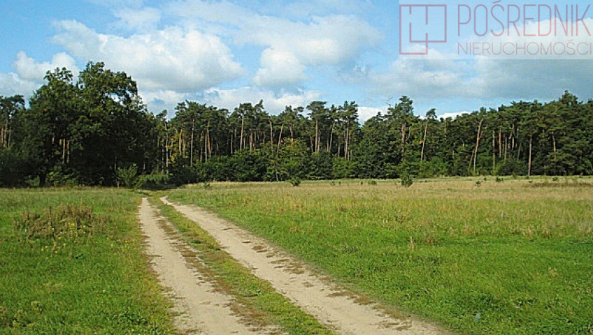 Działka Sprzedaż Kościno