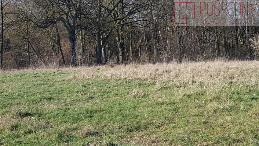 Działka Sprzedaż Kościno