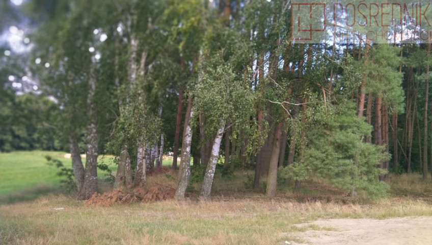 Działka Sprzedaż Tanowo Szczecińska