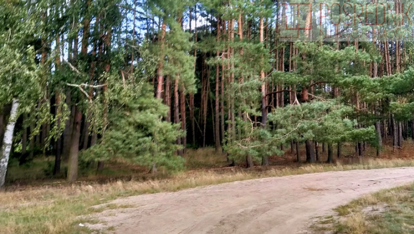 Działka Sprzedaż Tanowo Szczecińska