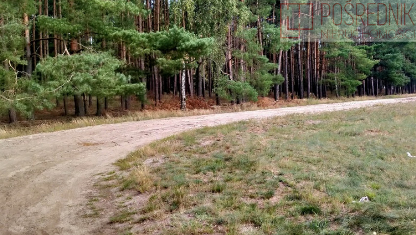 Działka Sprzedaż Tanowo Szczecińska