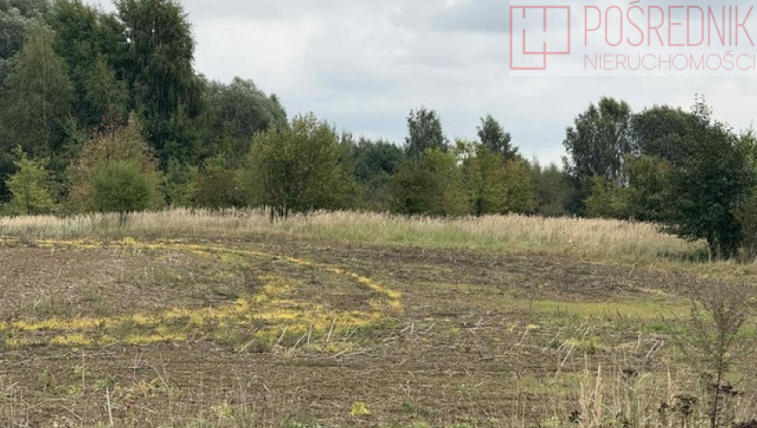 Działka Sprzedaż Stara Dąbrowa