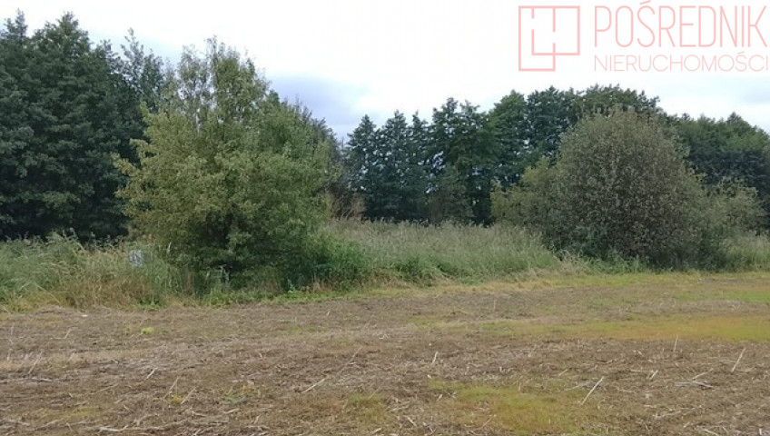 Działka Sprzedaż Stara Dąbrowa