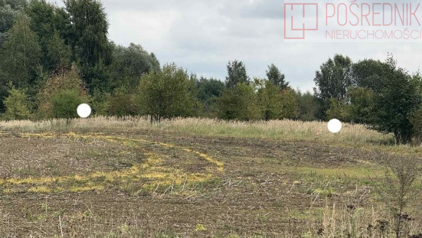 Działka Sprzedaż Stara Dąbrowa