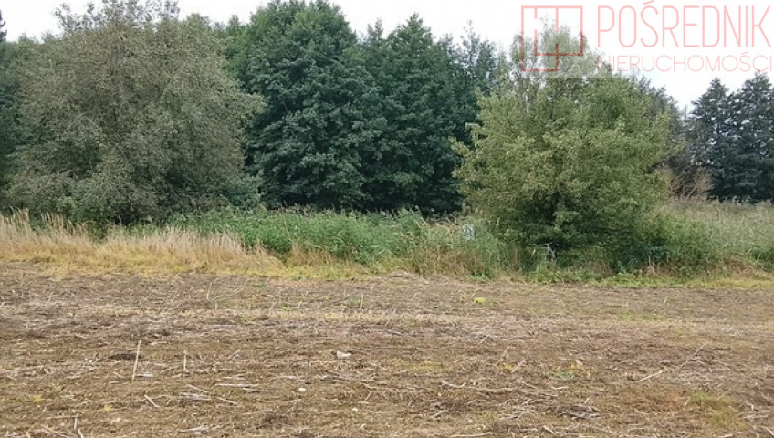 Działka Sprzedaż Stara Dąbrowa