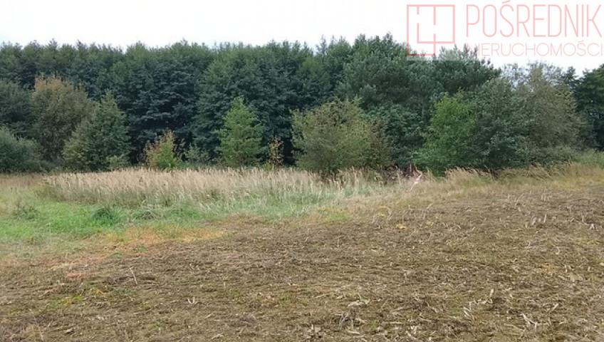 Działka Sprzedaż Stara Dąbrowa