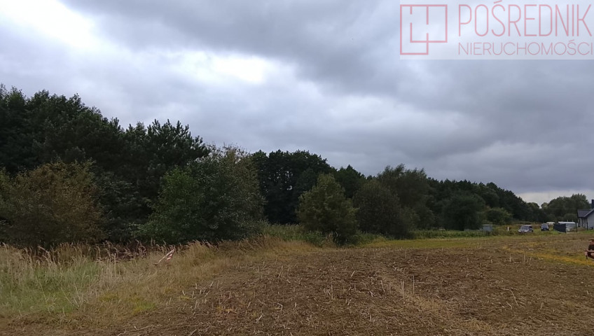 Działka Sprzedaż Stara Dąbrowa