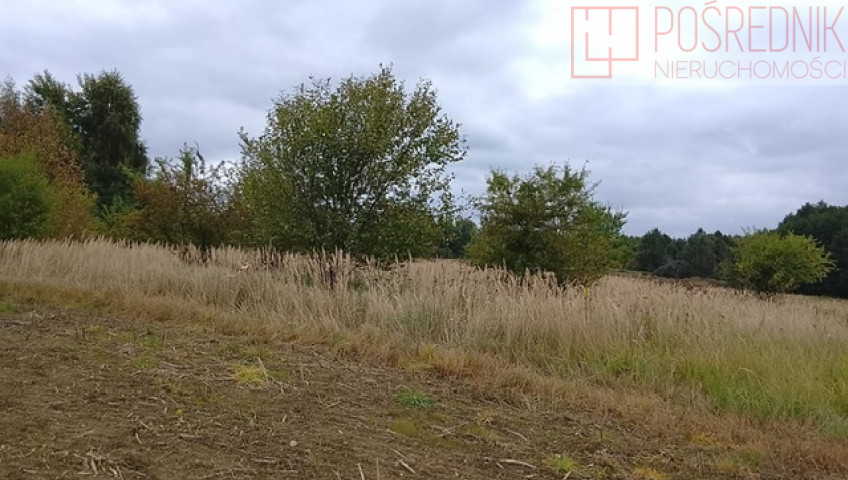 Działka Sprzedaż Stara Dąbrowa