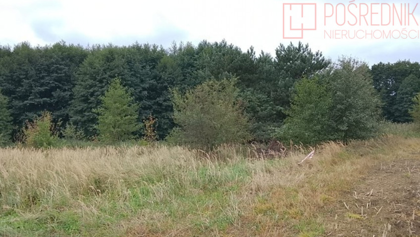 Działka Sprzedaż Stara Dąbrowa