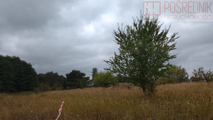 Działka Sprzedaż Stara Dąbrowa