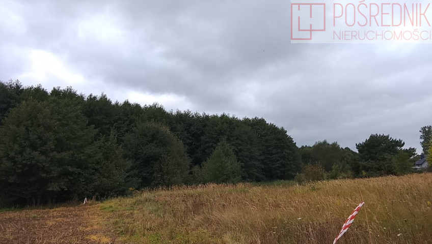 Działka Sprzedaż Stara Dąbrowa