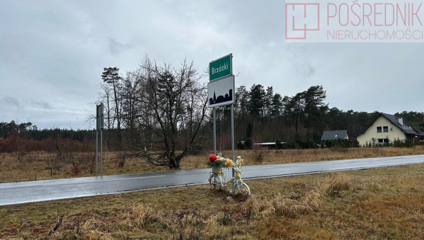 Działka Sprzedaż Brzózki