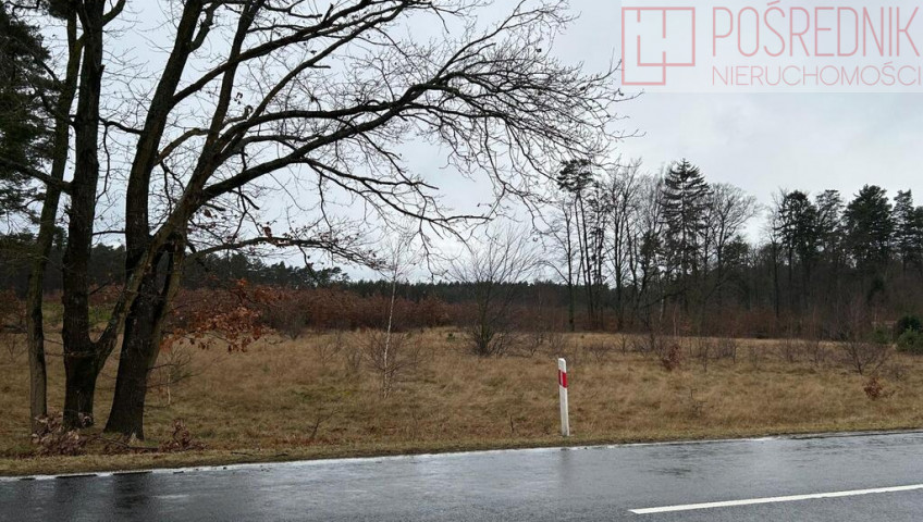 Działka Sprzedaż Brzózki