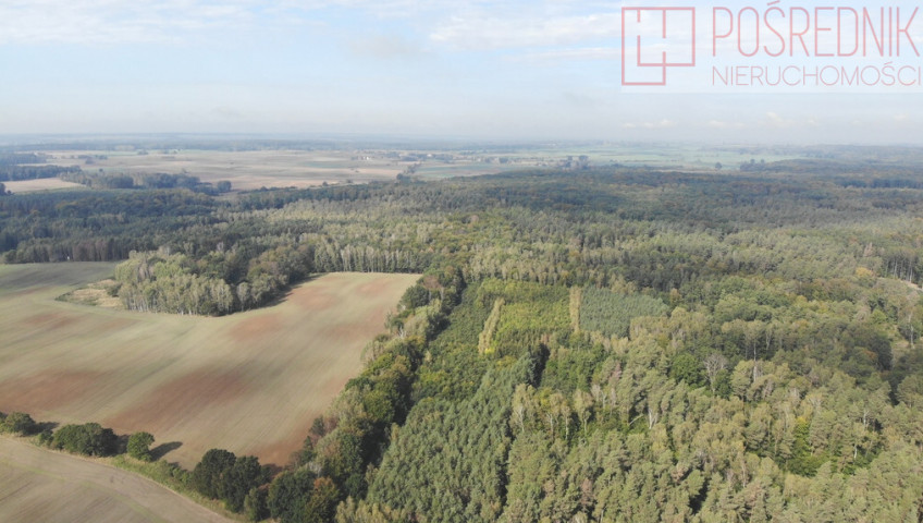 Działka Sprzedaż Rów