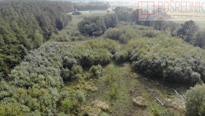 Działka Sprzedaż Rów