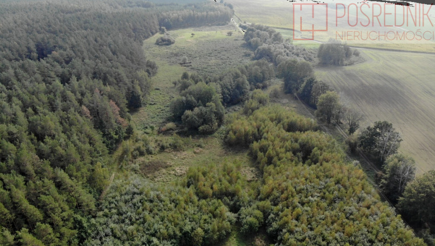 Działka Sprzedaż Rów