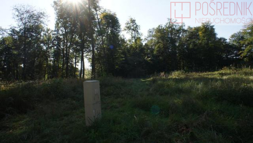 Działka Sprzedaż Dobra