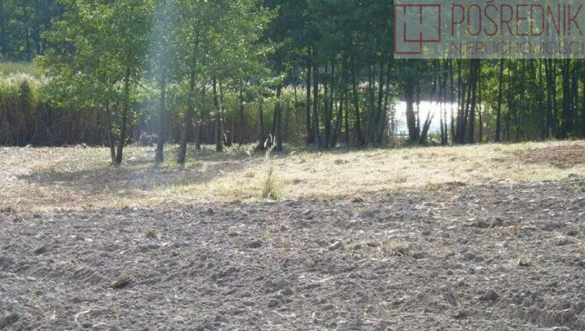 Działka Sprzedaż Zieleniewo