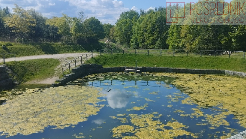 Mieszkanie Sprzedaż Szczecin Warszewo Szwedzka