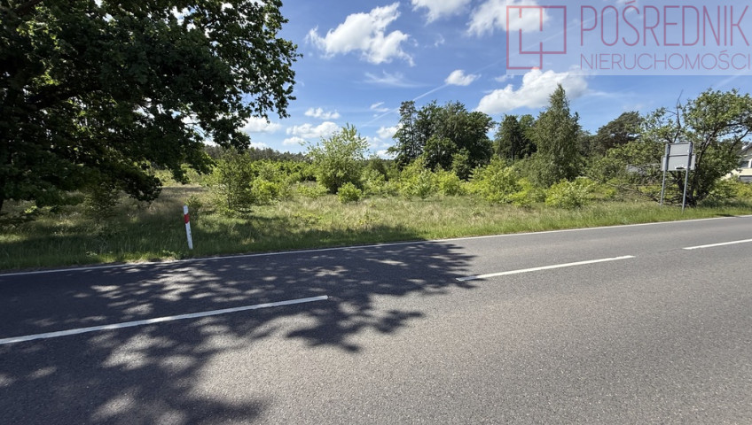 Działka Sprzedaż Brzózki