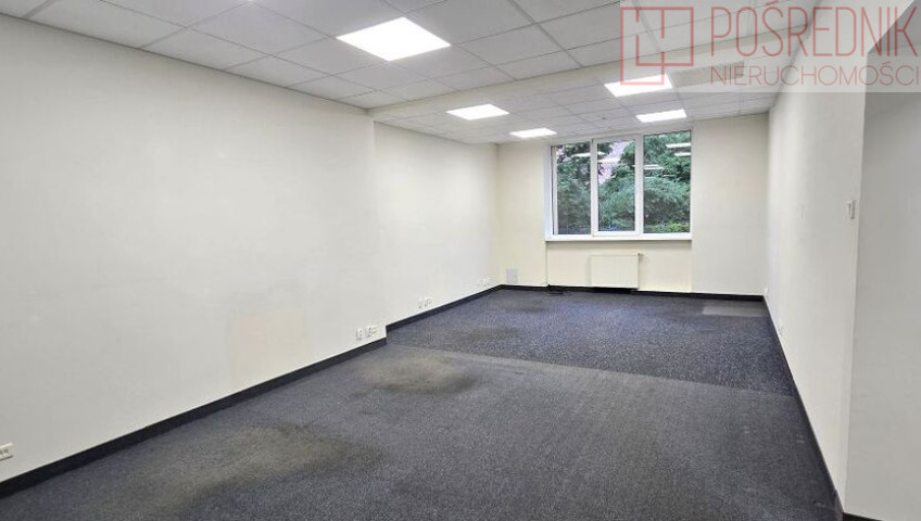 Lokal Wynajem Szczecin Śródmieście-Centrum