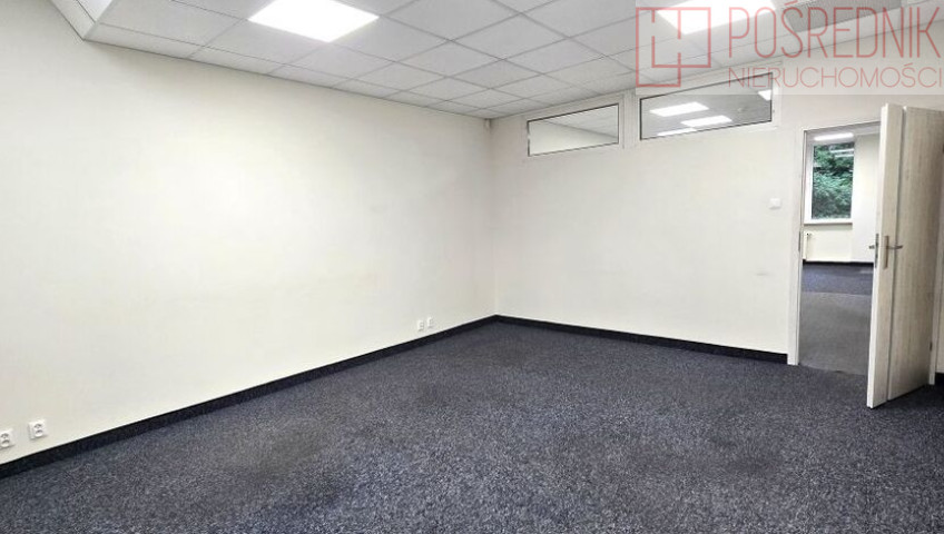 Lokal Wynajem Szczecin Śródmieście-Centrum