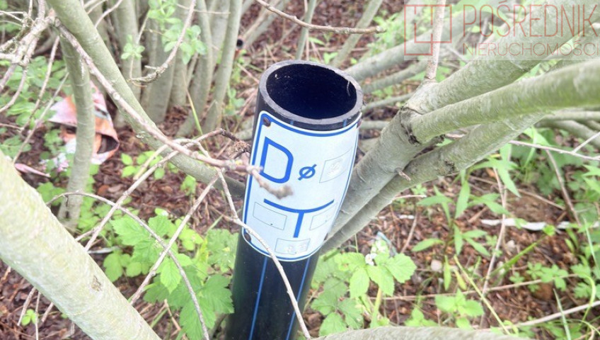 Działka Sprzedaż Szczecin Warszewo Traszki