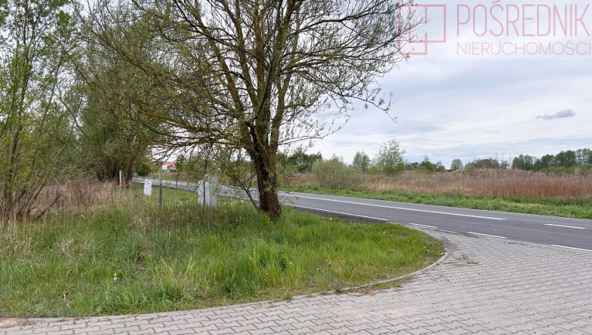 Działka Sprzedaż Szczecin Dąbie Lubczyńska